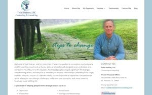 Todd Steiner Counseling and Coaching