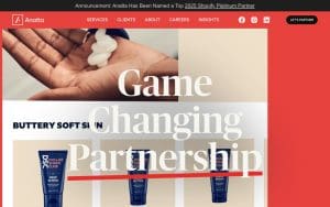 Anatta - Shopify Platinum Partner
