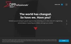 DP Professionals (DPP)