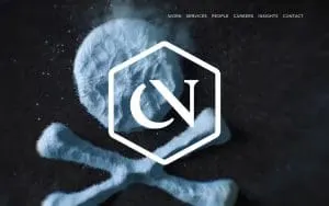 Chernoff Newman website