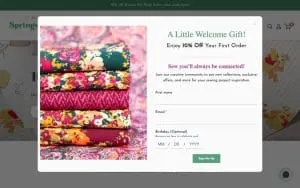 SPRINGS Creative website