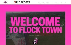 Florence Flamingos