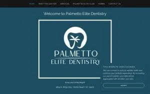 Palmetto Elite Dentistry website