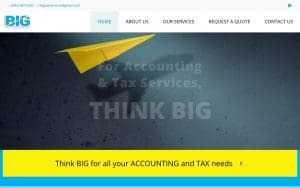 BIG Accounting & Tax Services