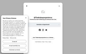 The Lindsay Experience LLC