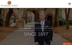 Steadman Agency Inc The website