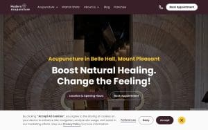 Modern Acupuncture