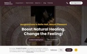 Modern Acupuncture of Mt Pleasant website