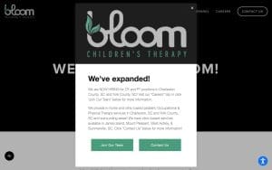 Bloom Children's Therapy