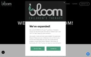 Bloom Children's Therapy of Charleston website