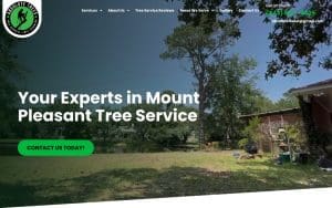 Absolute Trees