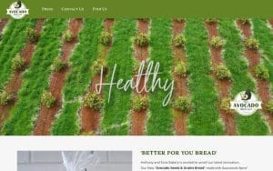 The Avocado Bread Company