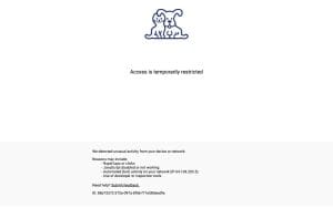 Petco Dog Training