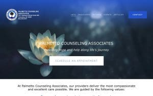 Palmetto Counseling Associates
