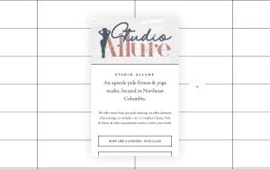 Studio Allure