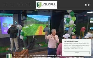 Pro Swing